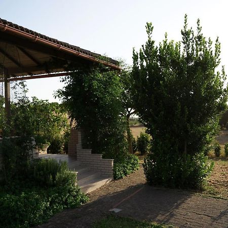 Accogliente Villa Con Piscina Caltagirone Luaran gambar