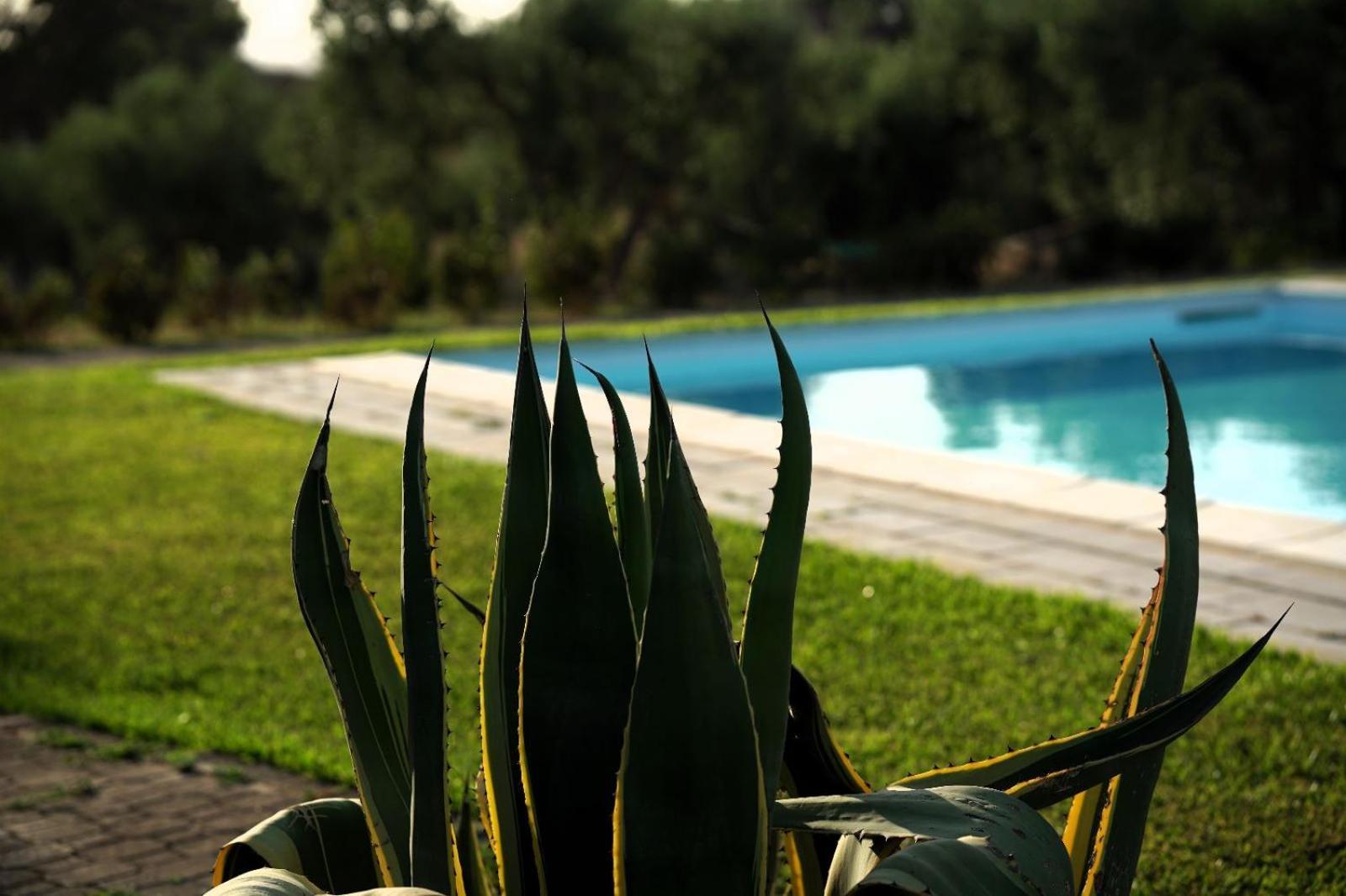 Accogliente Villa Con Piscina Caltagirone Luaran gambar