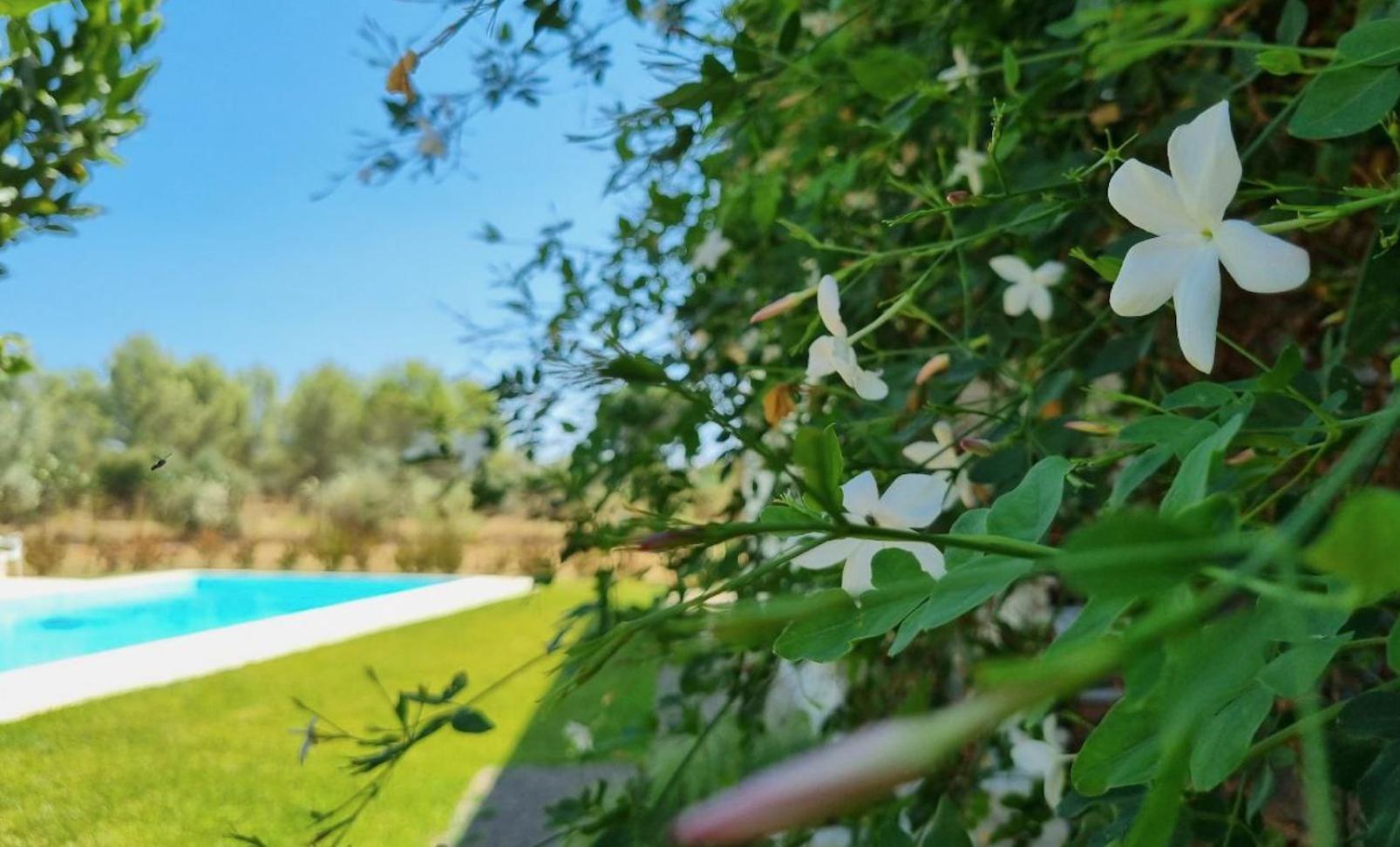 Accogliente Villa Con Piscina Caltagirone Luaran gambar