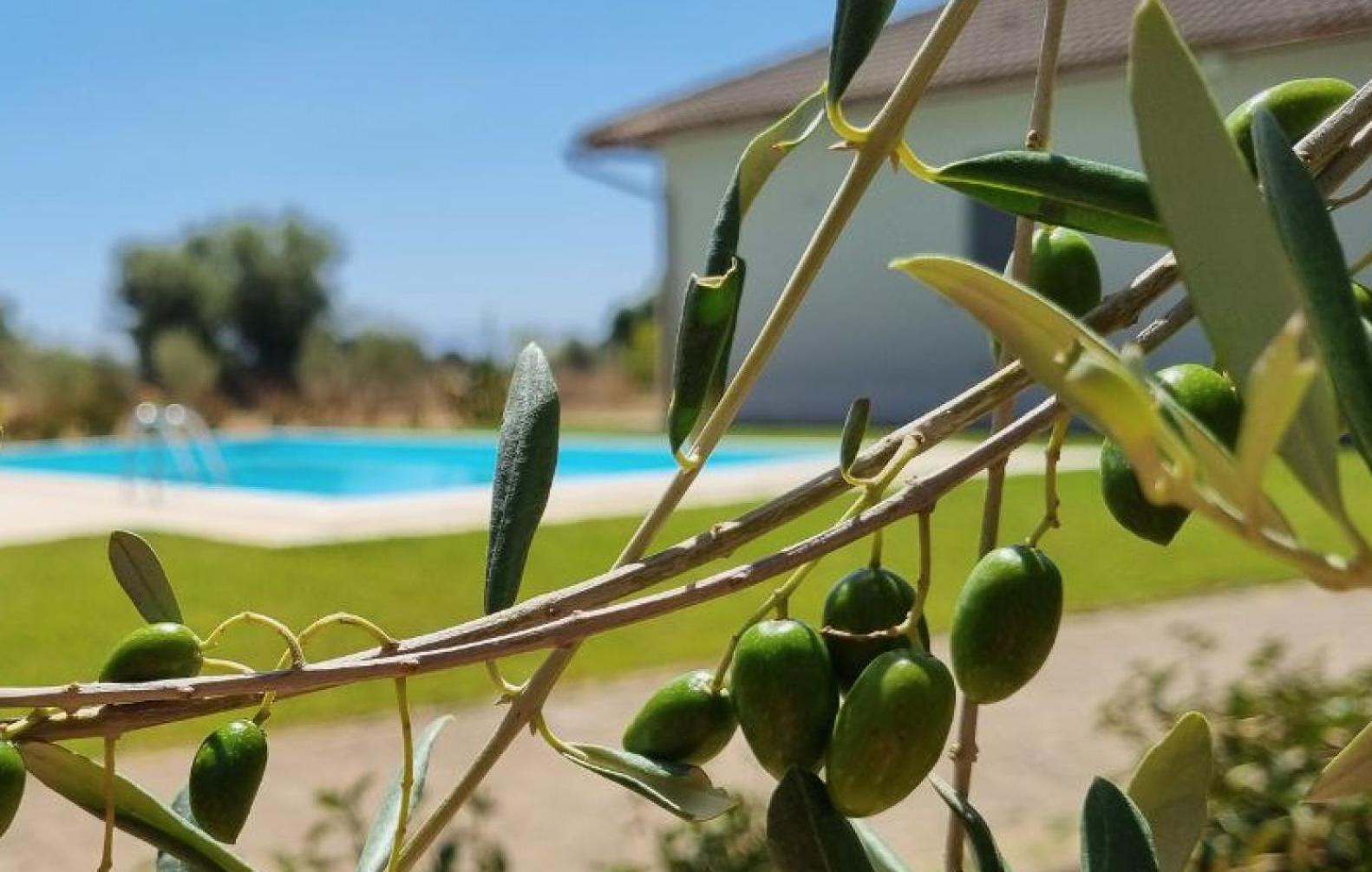 Accogliente Villa Con Piscina Caltagirone Luaran gambar