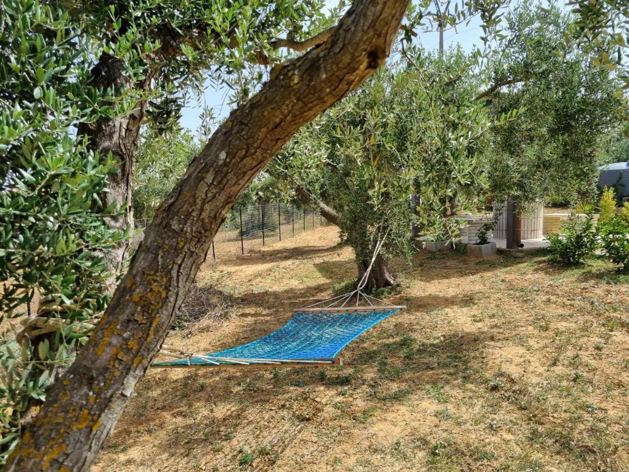 Accogliente Villa Con Piscina Caltagirone Luaran gambar